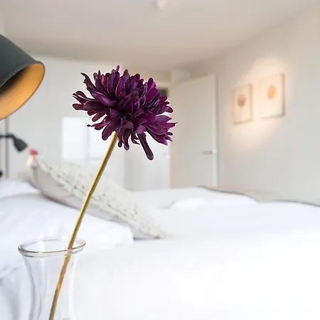 Apartment Spacious Modern In Scheveningen The Hague
